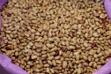 BOLETIM AGRO FEIJÃO