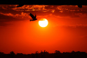 CHUVAS DIMINUEM, MAS CALOR CONTINUA EM MARÇO, AFIRMA SIMEPAR