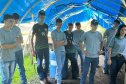 IAT VIVEIROS