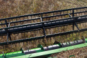 BOLETIM AGRO FEIJÃO