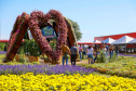 BRDE SHOW RURAL