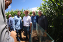BRDE libera R$ 451 milhões em financiamentos para o agronegócio no Show Rural