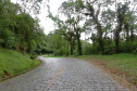 ESTRADA