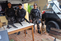 SEJU - PARANÁ EM AÇÃO