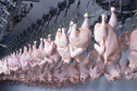 EXPORTAÇÃO DE CARNE SUÍNA