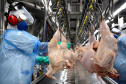 EXPORTAÇÃO DE CARNE SUÍNA