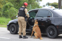  PMPR intensificará policiamento durante feriado do dia do trabalhador
