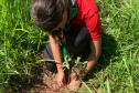 IAT SEMANA DO MEIO AMBIENTE