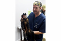 Operação coordenada pelo Instituto Água e Terra resgatou e encaminhou para o Zoológico Municipal de Curitiba 20 macacos-prego que viviam em cativeiros clandestinos