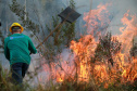 IAT VOLUNTARIADO