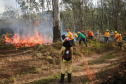 IAT VOLUNTARIADO