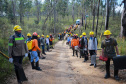 IAT VOLUNTARIADO