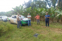 ADAPAR - matéria bananicultura com uso de drones no Litoral