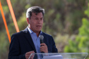 GOVERNADOR