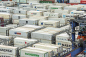 Com 44% da exportação nacional de frango, Porto de Paranaguá é o principal exportador de carnes brasileiras