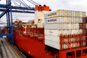 Com 44% da exportação nacional de frango, Porto de Paranaguá é o principal exportador de carnes brasileiras