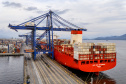 Com 44% da exportação nacional de frango, Porto de Paranaguá é o principal exportador de carnes brasileiras