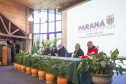 Paraná promove encontro inédito para fortalecer arborização urbana nos municípios