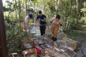 IAT ANIMAIS FAUNA SILVESTRE RESGATADOS