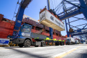 Com 44% da exportação nacional de frango, Porto de Paranaguá é o principal exportador de carnes brasileiras