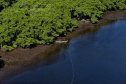 Recuperação de áreas verdes, combate ao desmatamento, cuidados com a água e a fauna e destinação correta dos resíduos sólidos: os indicadores que transformaram o Paraná em referência na proteção ao meio ambiente.