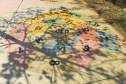 Em quase seis anos, o Paraná ganhou 42 parques urbanos e mais de 1,4 milhão de metros quadrados de área regenerada