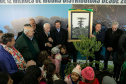 PLANTIO DE ARAUCARIA VICE