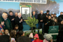 PLANTIO DE ARAUCARIA VICE
