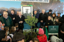 PLANTIO DE ARAUCARIA VICE