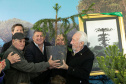 PLANTIO DE ARAUCARIA VICE