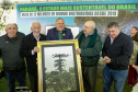 PLANTIO DE ARAUCARIA VICE