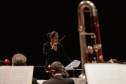 TEATRO GUAÍRA - ORQUESTRA