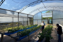 Paraná lidera inovação com tecnologia europeia adaptada para agricultura tropical