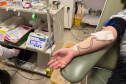 Saúde inicia campanha “Doe Sangue Pelo Esporte” em parceria com a Prefeitura de Curitiba e times de futebol paranaenses