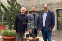 INOVAÇÃO - Bonsai de Araucária na Fundação Araucária