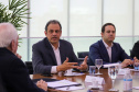 REUNIÃO VICE