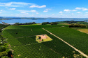 Valorização: café de Mandaguari conquista a 20ª Indicação Geográfica do Paraná