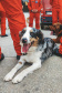 Grupo de Operações de Socorro Tático (GOST) do Corpo de Bombeiros Militar do Paraná (CBMPR)