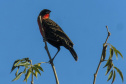 Sanepar - Com estudos e resgates de fauna e flora, Sanepar preserva espécies enquanto promove o saneamento no Paraná