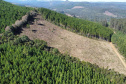 2ª Operação de Combate ao Desmatamento Ilegal da Mata Atlântica no Paraná de 2025 terminou com a lavratura de 164 Autos de Infração Ambiental (AIA)