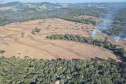 2ª Operação de Combate ao Desmatamento Ilegal da Mata Atlântica no Paraná de 2025 terminou com a lavratura de 164 Autos de Infração Ambiental (AIA)