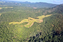2ª Operação de Combate ao Desmatamento Ilegal da Mata Atlântica no Paraná de 2025 terminou com a lavratura de 164 Autos de Infração Ambiental (AIA)