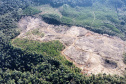 2ª Operação de Combate ao Desmatamento Ilegal da Mata Atlântica no Paraná de 2025 terminou com a lavratura de 164 Autos de Infração Ambiental (AIA)
