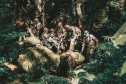 Grupo de Operações de Socorro Tático (GOST) do Corpo de Bombeiros Militar do Paraná (CBMPR)