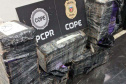 PCPR prende homem com 150 quilos de maconha na BR-277