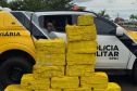 Canis da PMPR causam prejuízo de R$ 900 milhões ao crime desde 2023