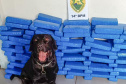 Canis da PMPR causam prejuízo de R$ 900 milhões ao crime desde 2023