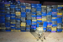 Canis da PMPR causam prejuízo de R$ 900 milhões ao crime desde 2023