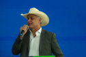 DESCOMPLICA PARANÁ VICE