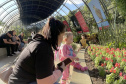 Exposição Fauna Ameaçada é Fauna a Ser Salva" atrai turistas para o Jardim Botânico de Curitiba
